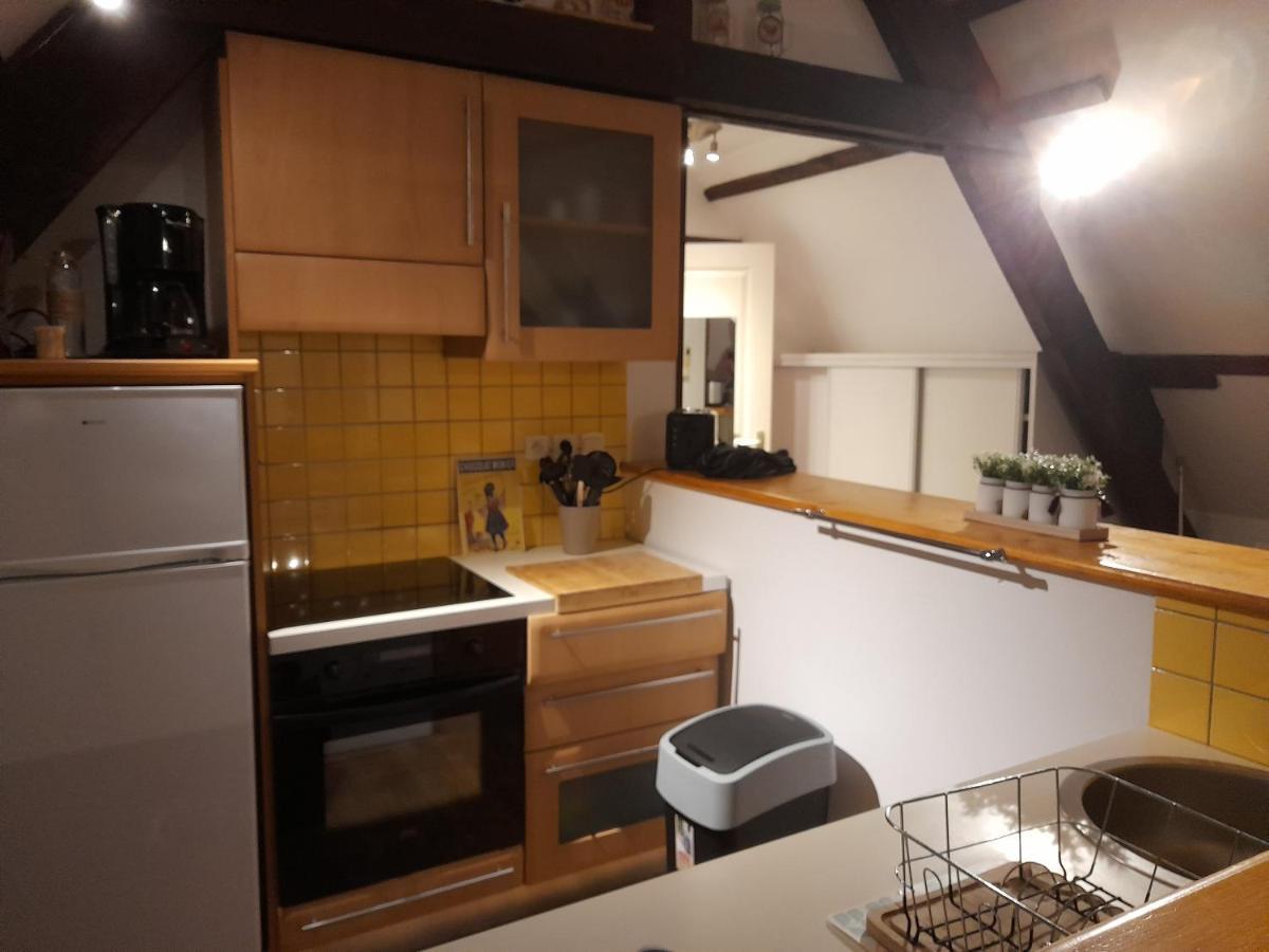 Le Nid D'Hirondelles - Appartement De Caractere Hypercentre Au Calme Bourges Exteriér fotografie